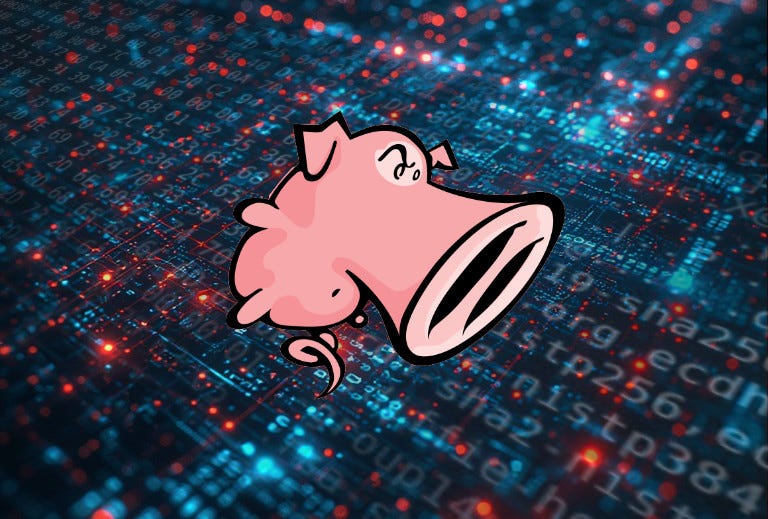 Mastering Snort: Stopping Real-Time Attacks